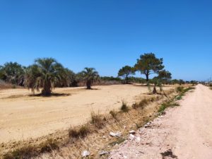 nuevo lote terrenos en barra do chuí (Barra Brasilera)