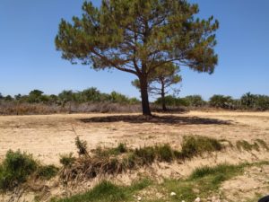 nuevo lote terrenos en barra do chuí (Barra Brasilera)