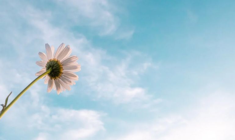 Tiempo en la ciudad de Chuy, Uruguay